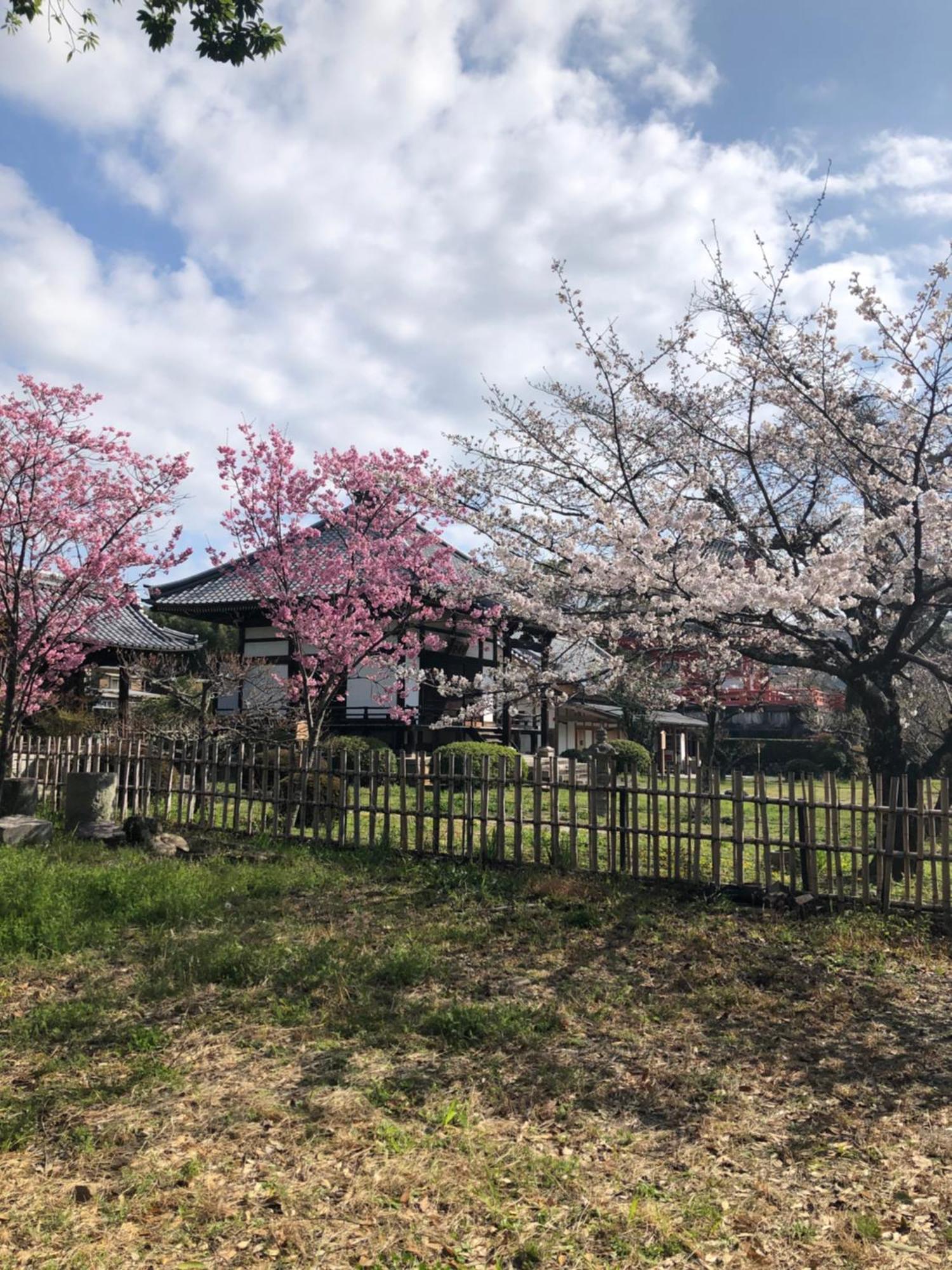 Tsubame-Ya Hotel Kyoto Buitenkant foto