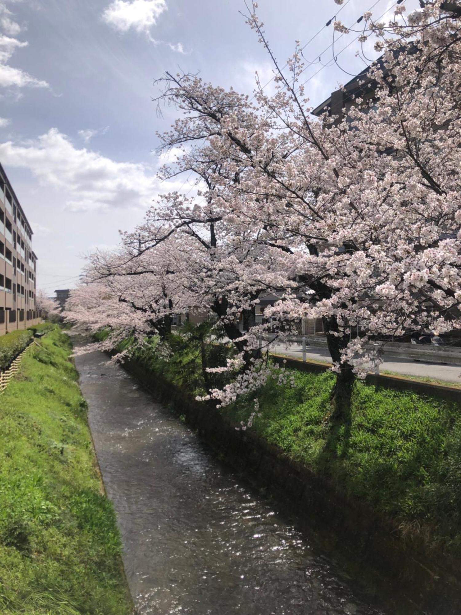Tsubame-Ya Hotel Kyoto Buitenkant foto